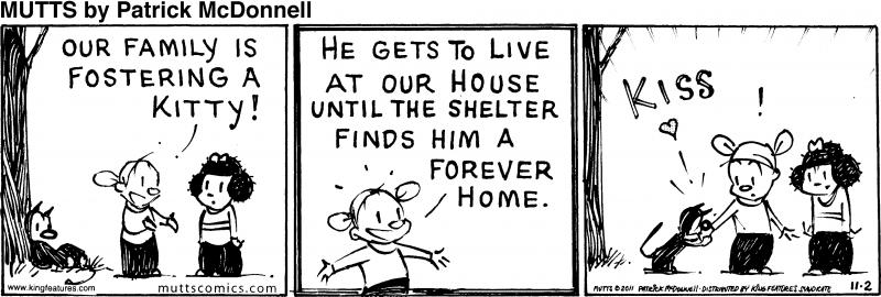 fosterkitty-67232222-std_orig