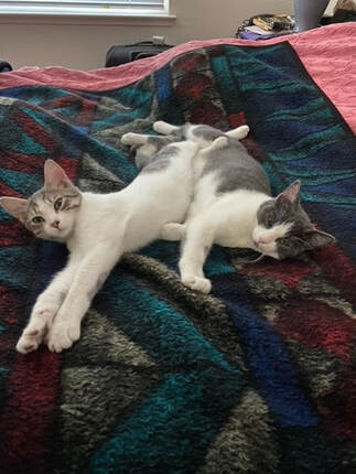 PEARL & IRIS: LOVING THEIR NEW HOME TOGETHER!