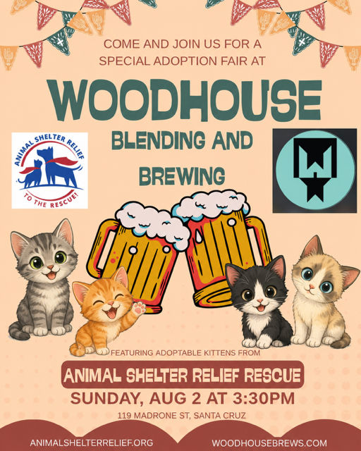 Flyer for event on August 2 at 3:30pm featuring adoptable kittens from Animal Shelter Relief Rescue. Woodhouse Blending and Brewing: 119 Madrone St Santa Cruz