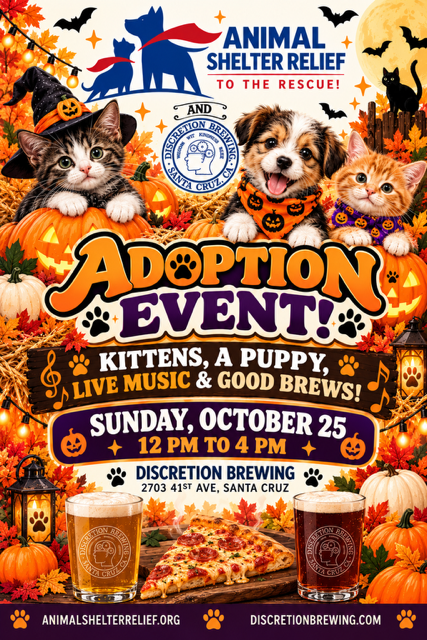 Join us for a special adoption event alongside Roll Call, Paws 'N Purrs and Caleb's Collars for an afternoon of roller skating, live music and good times at Woodhouse Blending and Brewing. Sunday October 4 1-4pm. 119 Madrone St, Santa Cruz